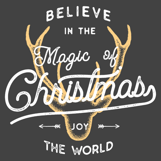 14_Believe Magic Christmas-01